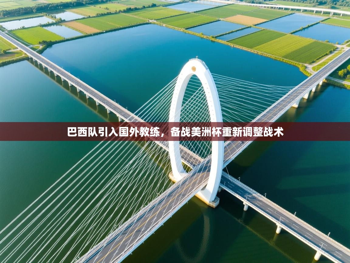 乐动体育官网-巴西队引入国外教练，备战美洲杯重新调整战术  第2张