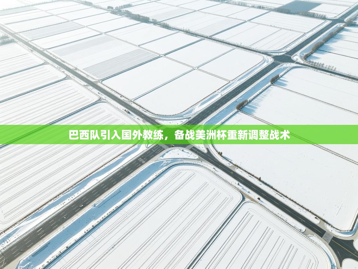 乐动体育官网-巴西队引入国外教练，备战美洲杯重新调整战术  第4张