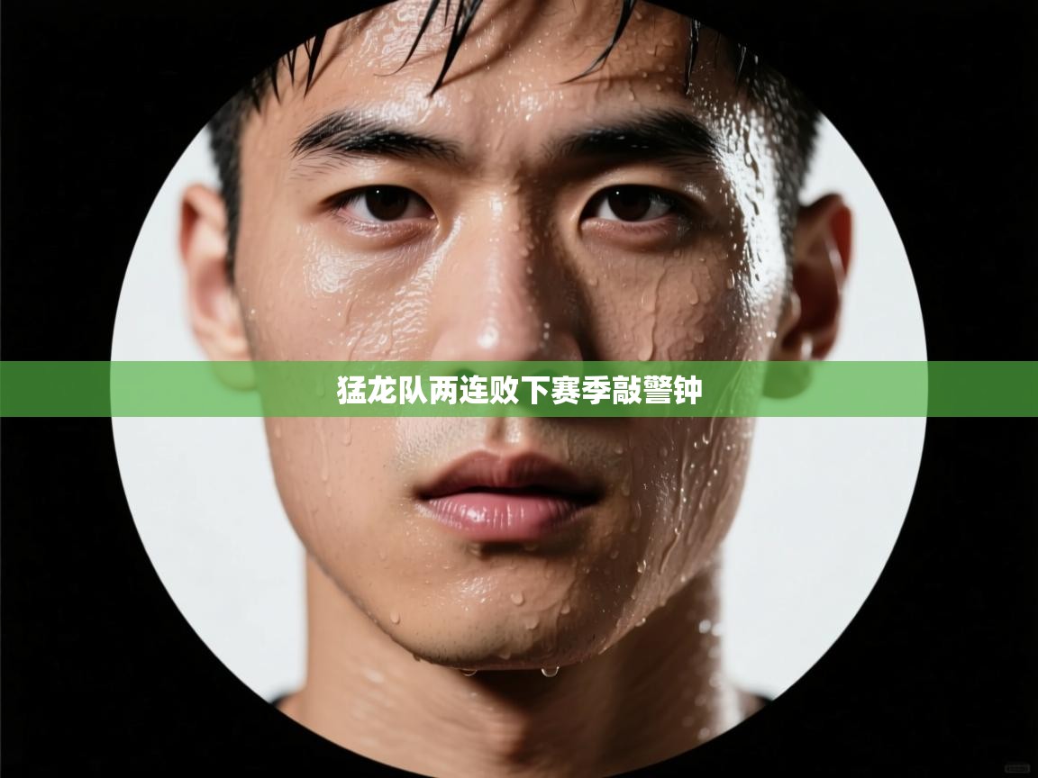 ld乐动体育app官网-猛龙队两连败下赛季敲警钟  第3张