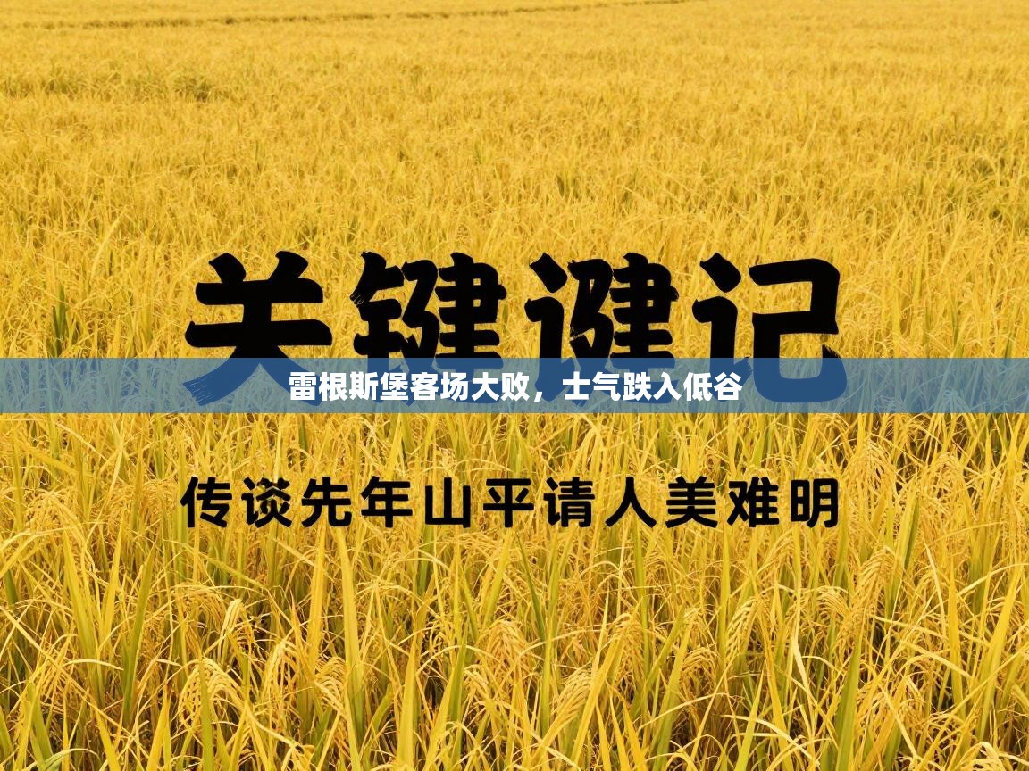 乐动体育app下载官网-雷根斯堡客场大败,士气跌入低谷 第3张