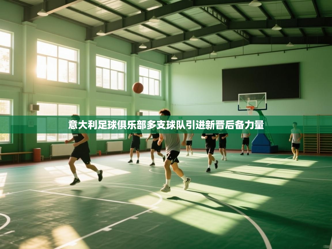 南通乐动体育发展有限公司官网-意大利足球俱乐部多支球队引进新晋后备力量 第4张